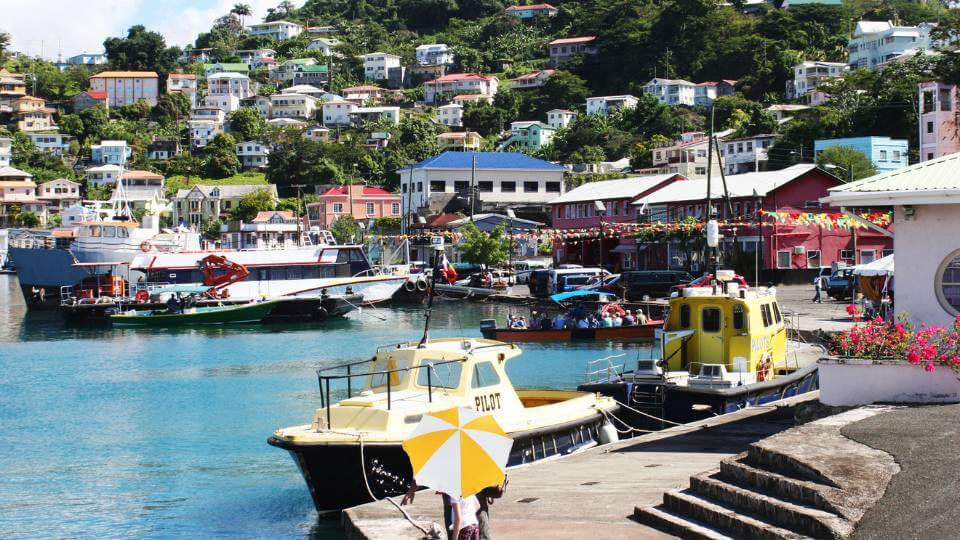 Hệ Thống Y Tế Và Giáo Dục Chất Lượng Cao Tại Grenada Nhập tịch Grenada